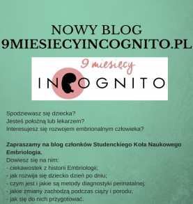 Nowy blog 9miesiecyincognito.pl