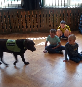 DOGOterapia dla osób z niepełnosprawnościami- DZIAŁAMY!